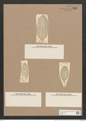 Navicula lyra var. abnormis Grun. (de-Toni-Nr.: Genus 1, Species 327) Zeichnungen Sammlung Grunow Nr. 733 (NHMW-BOT-W0367119)